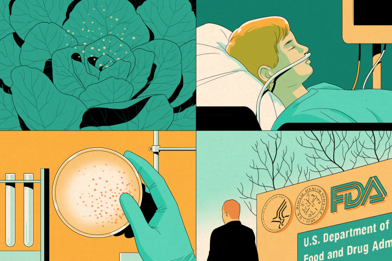 Illustrated grid of various e-coli related scenes: a head of lettuce, a child in a hospital room, a petri dish, and the outside of the FDA building 