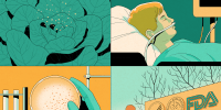 Illustrated grid of various e-coli related scenes: a head of lettuce, a child in a hospital room, a petri dish, and the outside of the FDA building 